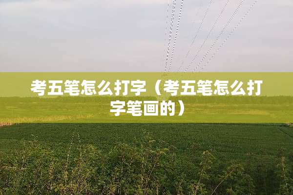 考五笔怎么打字（考五笔怎么打字笔画的）