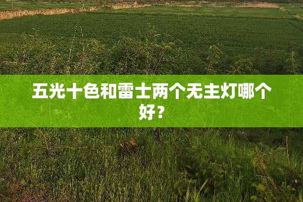 五光十色和雷士两个无主灯哪个好？