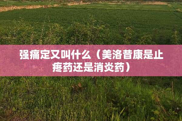 强痛定又叫什么（美洛昔康是止疼药还是消炎药）