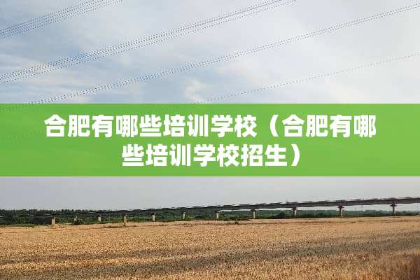 合肥有哪些培训学校（合肥有哪些培训学校招生）