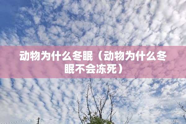 动物为什么冬眠（动物为什么冬眠不会冻死）