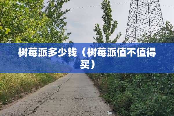 树莓派多少钱（树莓派值不值得买）