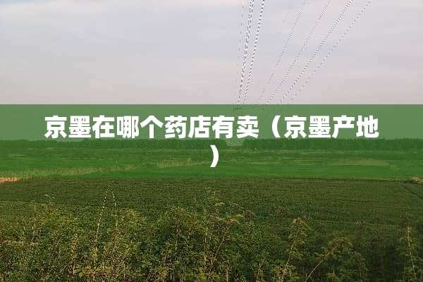 京墨在哪个药店有卖（京墨产地）