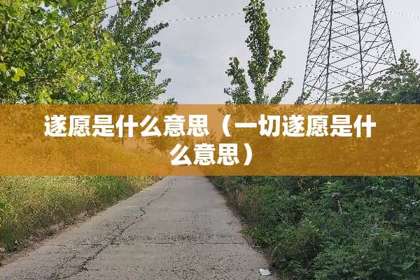 遂愿是什么意思（一切遂愿是什么意思）