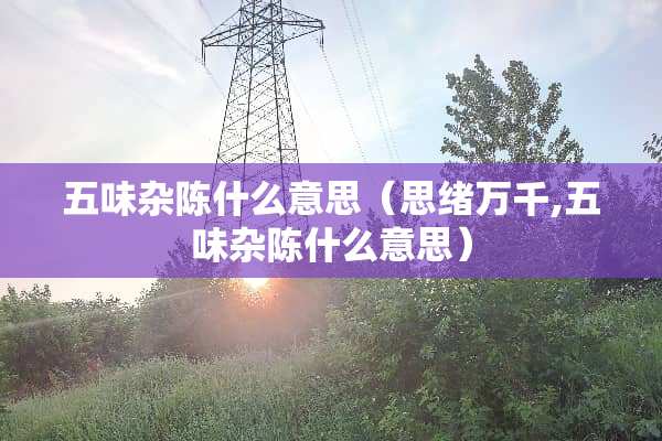 五味杂陈什么意思（思绪万千,五味杂陈什么意思）