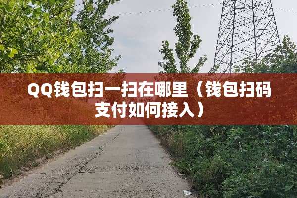QQ钱包扫一扫在哪里（钱包扫码支付如何接入）