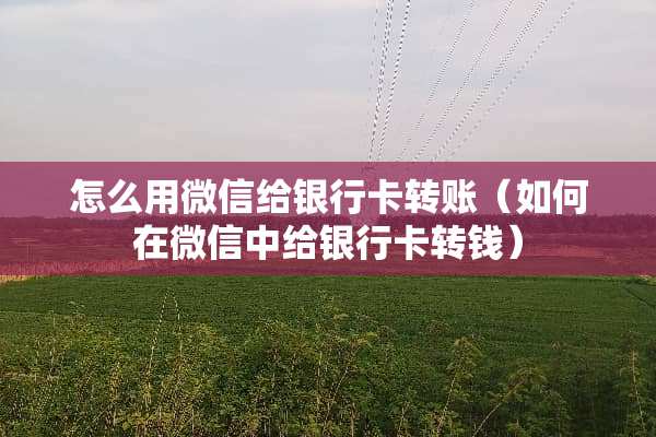 怎么用微信给***转账（如何在微信中给***转钱）