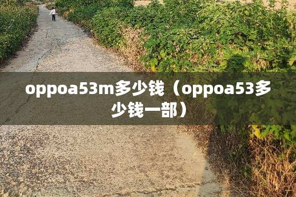 oppoa53m多少钱（oppoa53多少钱一部）