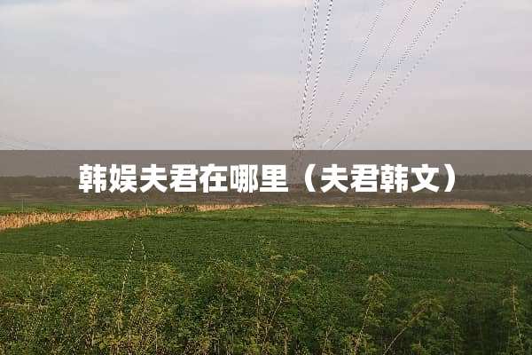 韩娱夫君在哪里（夫君韩文）