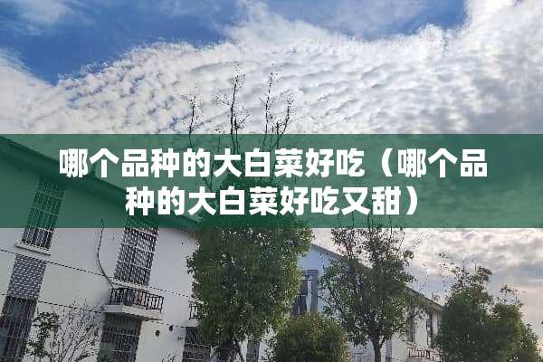 哪个品种的大白菜好吃（哪个品种的大白菜好吃又甜）