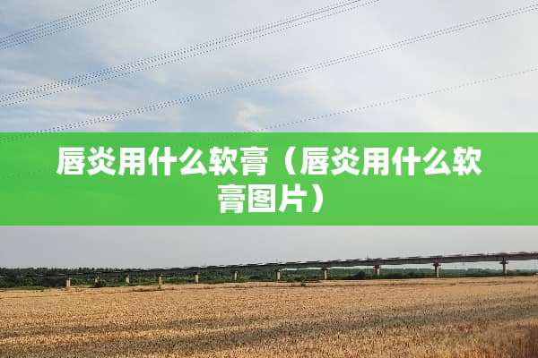 唇炎用什么软膏（唇炎用什么软膏图片）
