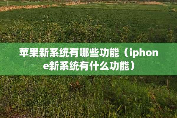 苹果新系统有哪些功能（iphone新系统有什么功能）