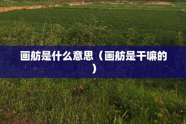 画舫是什么意思（画舫是干嘛的）