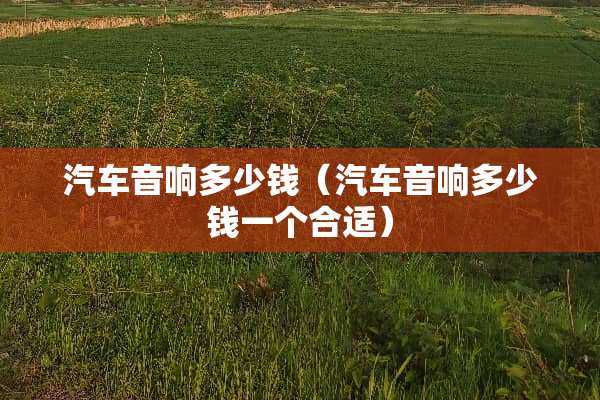 汽车音响多少钱（汽车音响多少钱一个合适）