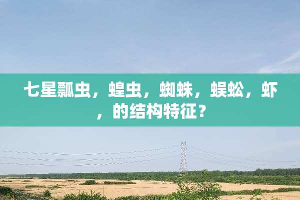 七星瓢虫，蝗虫，蜘蛛，蜈蚣，虾，的结构特征？
