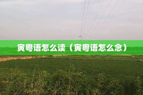 寅粤语怎么读（寅粤语怎么念）