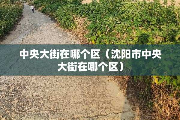中央大街在哪个区（沈阳市中央大街在哪个区）