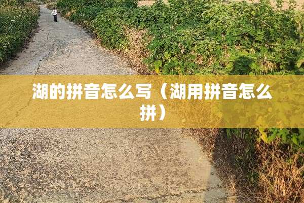 湖的拼音怎么写（湖用拼音怎么拼）