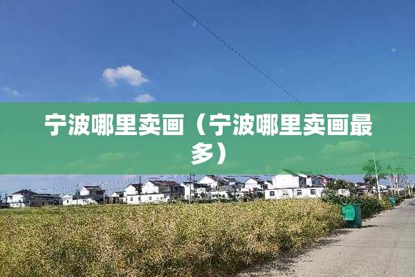 宁波哪里卖画（宁波哪里卖画最多）