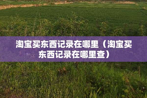 淘宝买东西记录在哪里（淘宝买东西记录在哪里查）
