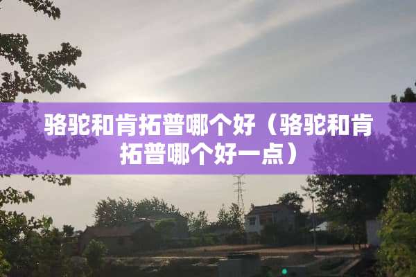 骆驼和肯拓普哪个好（骆驼和肯拓普哪个好一点）