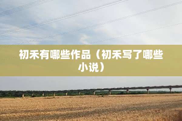 初禾有哪些作品（初禾写了哪些小说）