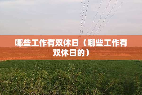 哪些工作有双休日（哪些工作有双休日的）