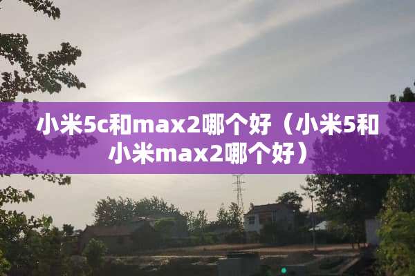 小米5c和max2哪个好（小米5和小米max2哪个好）