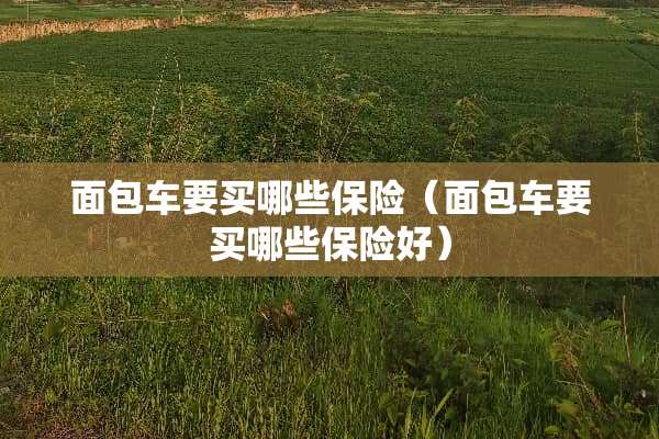 面包车要买哪些保险（面包车要买哪些保险好）
