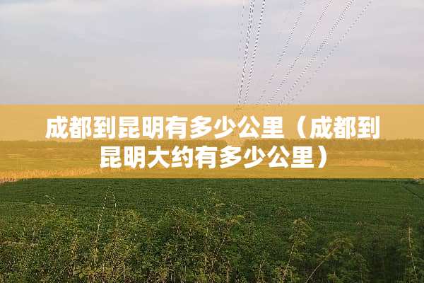 成都到昆明有多少公里（成都到昆明大约有多少公里）