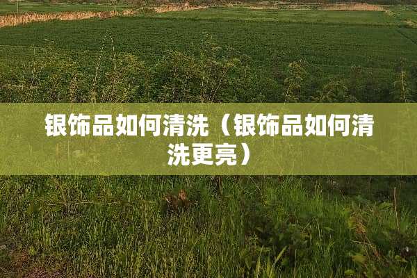 银饰品如何清洗（银饰品如何清洗更亮）