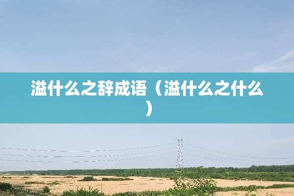 溢什么之辞成语（溢什么之什么）