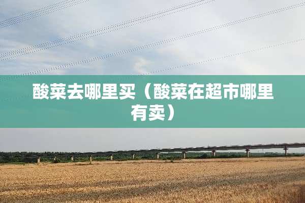 酸菜去哪里买（酸菜在超市哪里有卖）