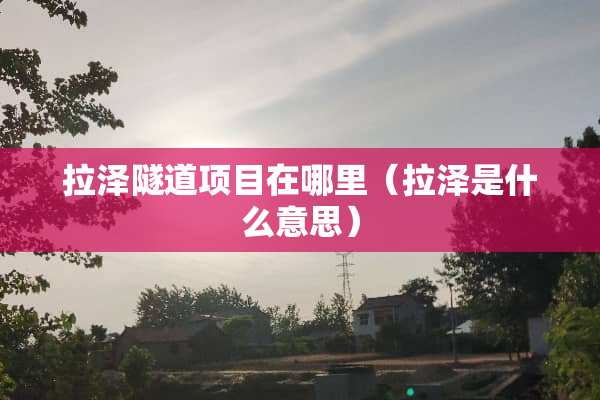 拉泽隧道项目在哪里（拉泽是什么意思）