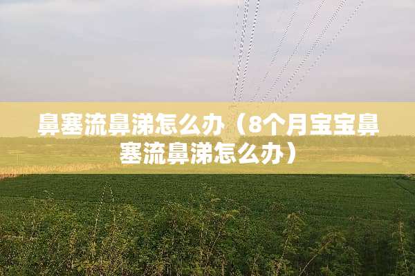 鼻塞流鼻涕怎么办（8个月宝宝鼻塞流鼻涕怎么办）
