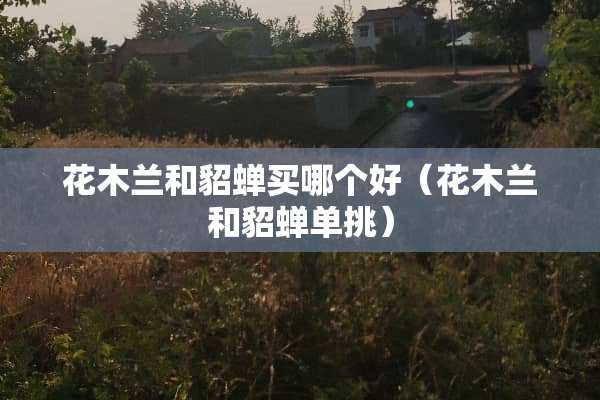 花木兰和貂蝉买哪个好（花木兰和貂蝉单挑）