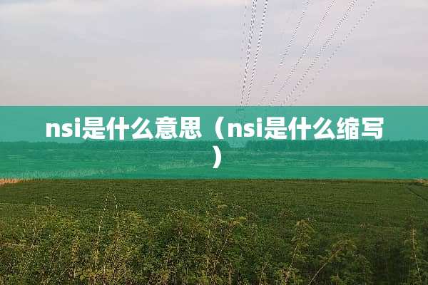 nsi是什么意思（nsi是什么缩写）