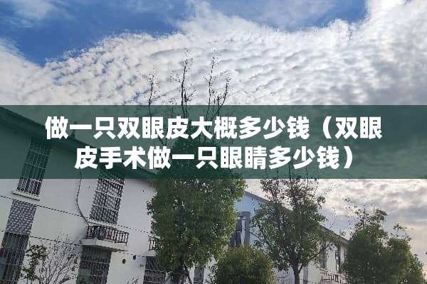 做一只双眼皮大概多少钱（双眼皮手术做一只眼睛多少钱）