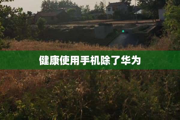 健康使用手机除了华为
