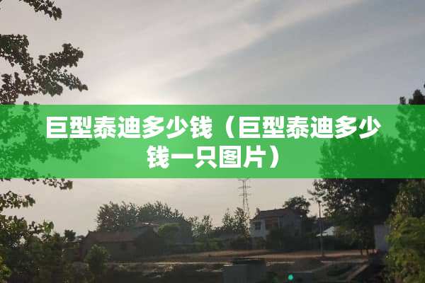 巨型泰迪多少钱（巨型泰迪多少钱一只图片）
