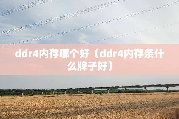 ddr4内存哪个好（ddr4内存条什么牌子好）