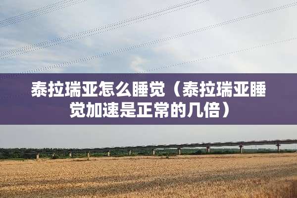 泰拉瑞亚怎么睡觉（泰拉瑞亚睡觉加速是正常的几倍）