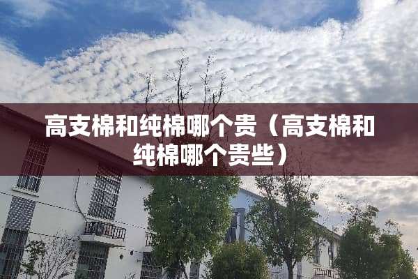 高支棉和纯棉哪个贵（高支棉和纯棉哪个贵些）
