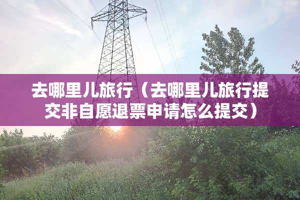 去哪里儿旅行（去哪里儿旅行提交非自愿退票申请怎么提交）