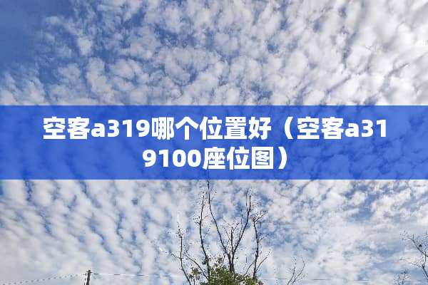 空客a319哪个位置好（空客a319100座位图）