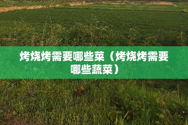 烤烧烤需要哪些菜（烤烧烤需要哪些蔬菜）