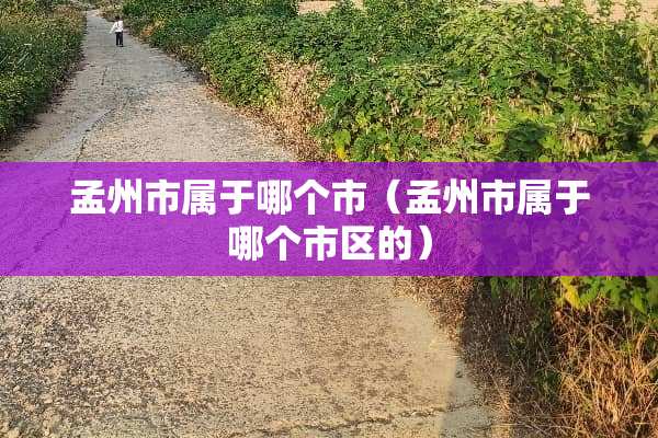 孟州市属于哪个市（孟州市属于哪个市区的）