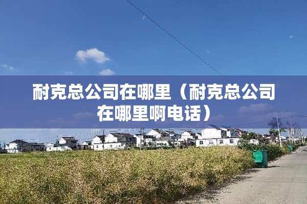 耐克总公司在哪里（耐克总公司在哪里啊电话）