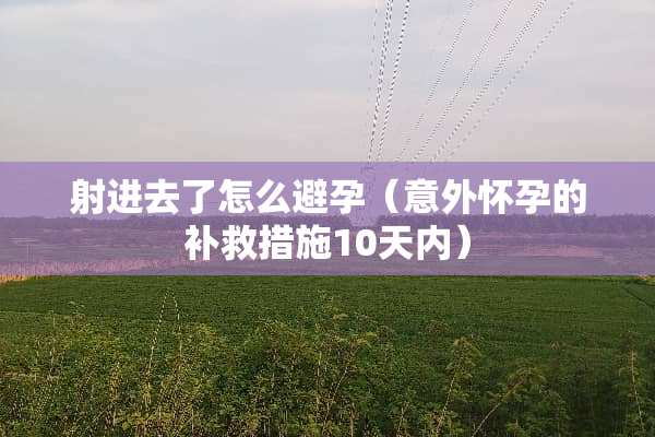 射进去了怎么避孕（意外怀孕的补救措施10天内）