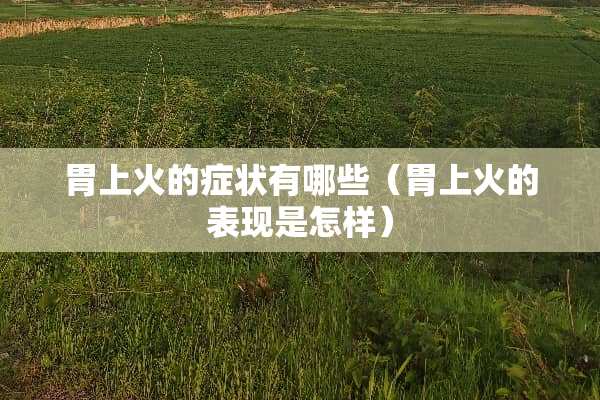 胃上火的症状有哪些（胃上火的表现是怎样）